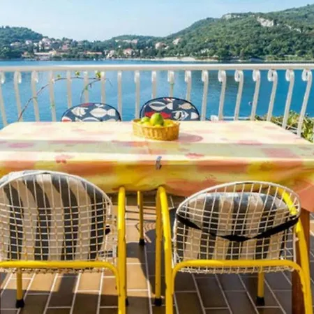 Violic Apartman