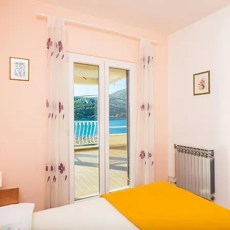 Apartman Violic *